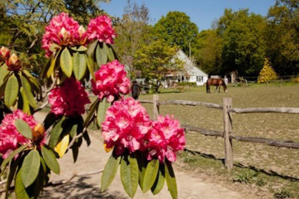 The Cottage Cross in Hand Exterior foto